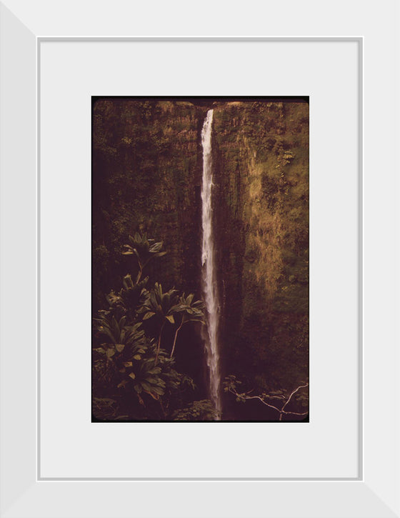 "Akaka Falls State Park, November 1973", Charles O'Rear