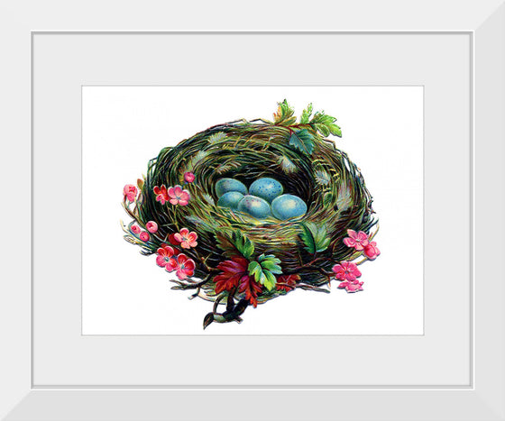 "Bird Nest"