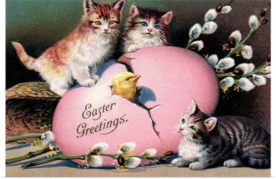 "Easter Cats With Chick"