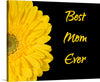 This exquisite print, titled “Best Mom Ever,” features a radiant yellow gerbera daisy symbolizing cheerfulness and purity. The flower takes center stage against a contrasting, elegant black background. The golden text “Best Mom Ever” graces the side, making it a perfect gift to express unyielding affection and gratitude for the most special woman in your life.