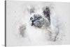 “White Cat Watercolor”: Immerse yourself in the enchanting gaze of this mesmerizing print. Every brush stroke, every hue of color, meticulously crafted, brings to life the mystical allure of a feline’s soulful eyes. 