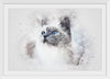 "White Cat Watercolor"