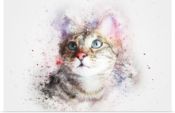 "Kitty Watercolor"