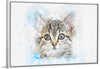 "Gray and White Cat Watercolor"