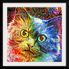 "Abstract Cat"