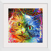 "Abstract Cat"