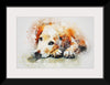 "Brown and White Dog Watercolor"