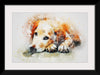 "Brown and White Dog Watercolor"