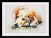 "Brown and White Dog Watercolor"