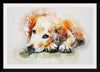 "Brown and White Dog Watercolor"