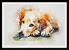 "Brown and White Dog Watercolor"