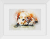 "Brown and White Dog Watercolor"