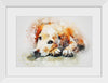 "Brown and White Dog Watercolor"