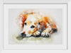 "Brown and White Dog Watercolor"