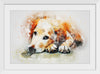 "Brown and White Dog Watercolor"