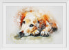 "Brown and White Dog Watercolor"