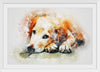 "Brown and White Dog Watercolor"