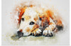 "Brown and White Dog Watercolor"