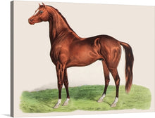  Introducing our exclusive print, “Majestic Elegance,” which captures the majestic elegance of a thoroughbred horse with impeccable detail and artistry. Every curve, muscle, and gleam of this magnificent creature is brought to life on canvas, offering a timeless piece that horse enthusiasts and art collectors alike will treasure. 