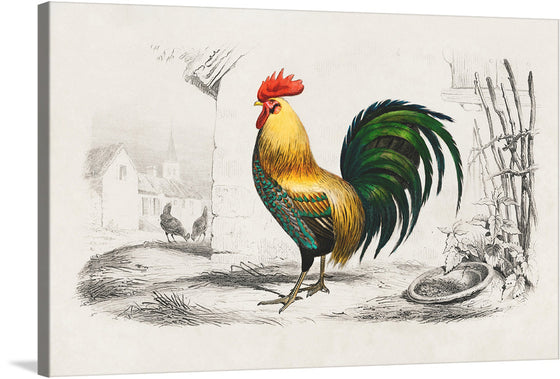 “Rooster Chicken” is a captivating artwork that brings the rustic charm and elegance of the countryside into your space. This exquisite print captures a majestic rooster, adorned with vibrant hues of gold, green, and red, standing proudly amidst a serene farm setting. 