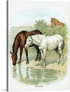 This print captures the majestic elegance of horses in their natural habitat. Every brushstroke brings to life the graceful movements and gentle spirits of these magnificent creatures as they gather around a tranquil pool of water. 