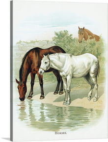  This print captures the majestic elegance of horses in their natural habitat. Every brushstroke brings to life the graceful movements and gentle spirits of these magnificent creatures as they gather around a tranquil pool of water. 