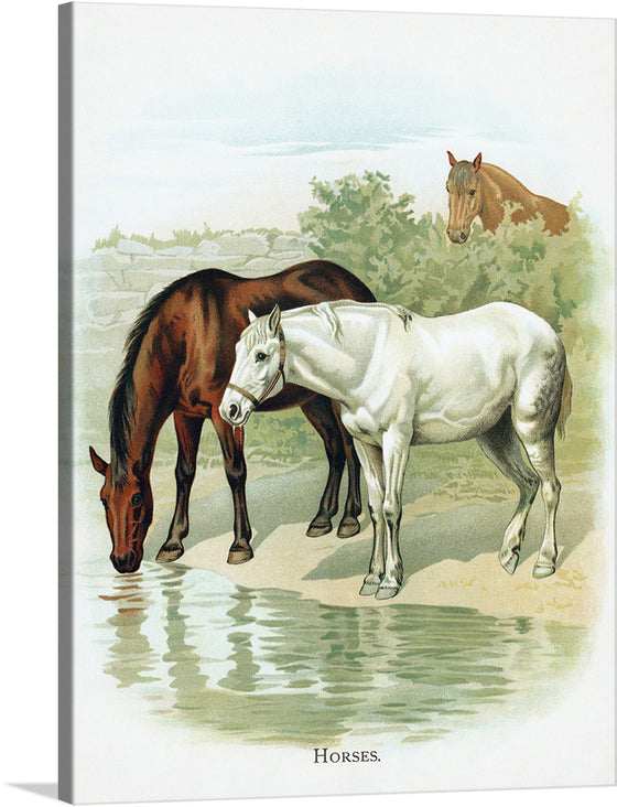 This print captures the majestic elegance of horses in their natural habitat. Every brushstroke brings to life the graceful movements and gentle spirits of these magnificent creatures as they gather around a tranquil pool of water. 