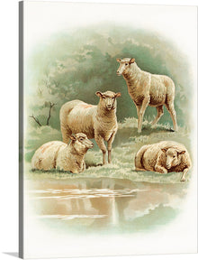  This beautiful print features an illustration of four sheep in a natural setting. The sheep are standing near a stream, with one sheep standing majestically on top of a small hill. The background consists of trees and the colors are soft and natural, with a vintage feel. This would be a perfect gift for any animal lover.