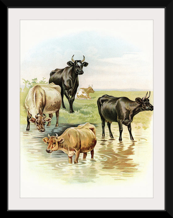 "Cows"