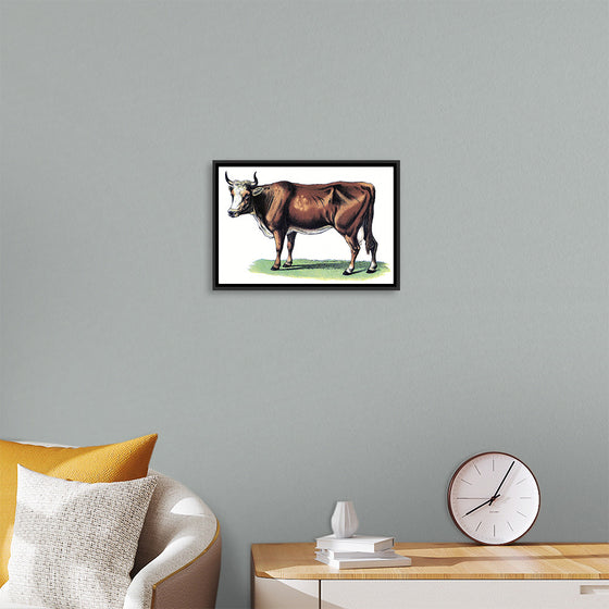 "Vintage Cow Art"