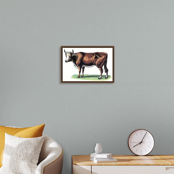 "Vintage Cow Art"