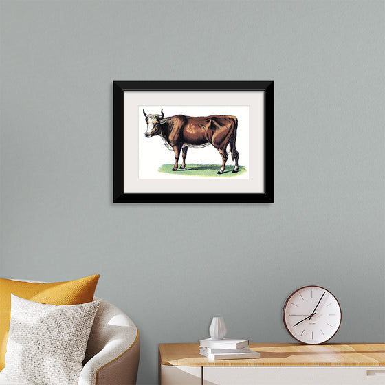 "Vintage Cow Art"