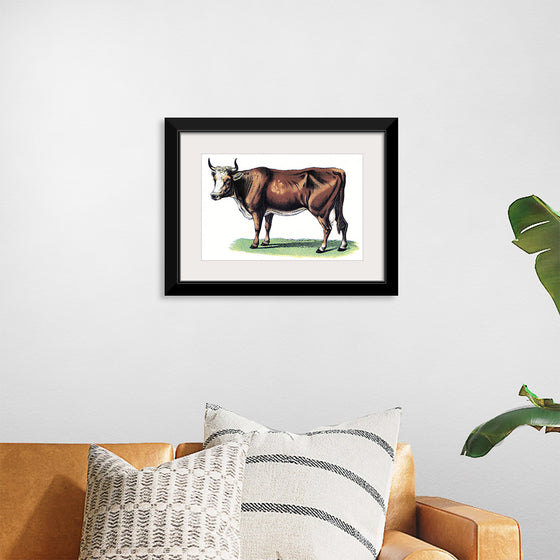 "Vintage Cow Art"