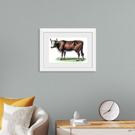 "Vintage Cow Art"