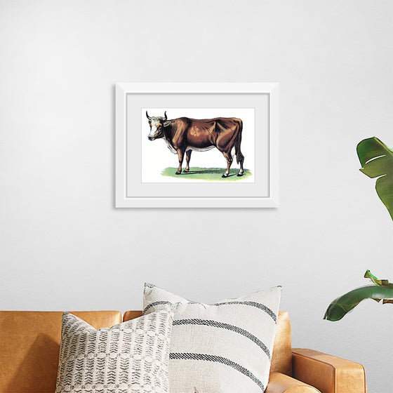 "Vintage Cow Art"