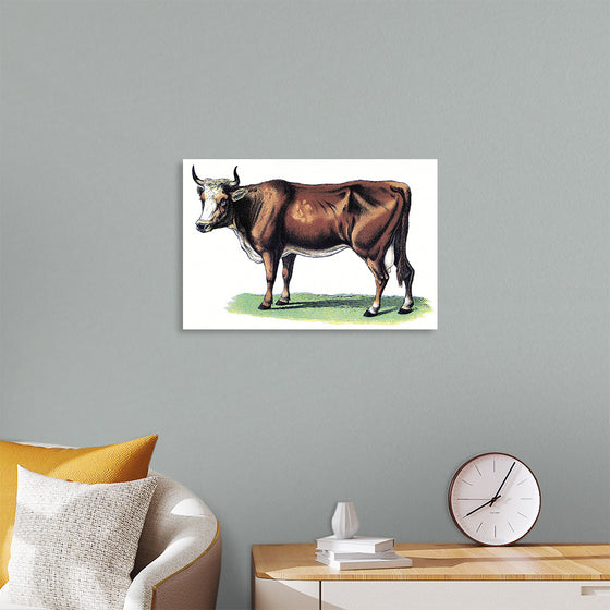 "Vintage Cow Art"