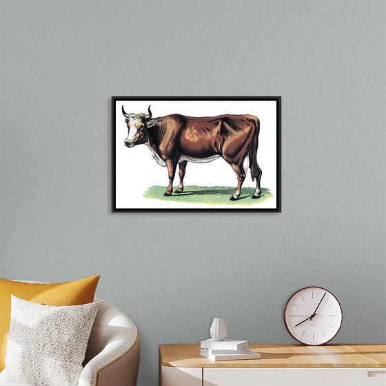 "Vintage Cow Art"