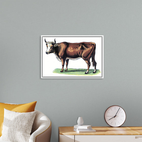 "Vintage Cow Art"