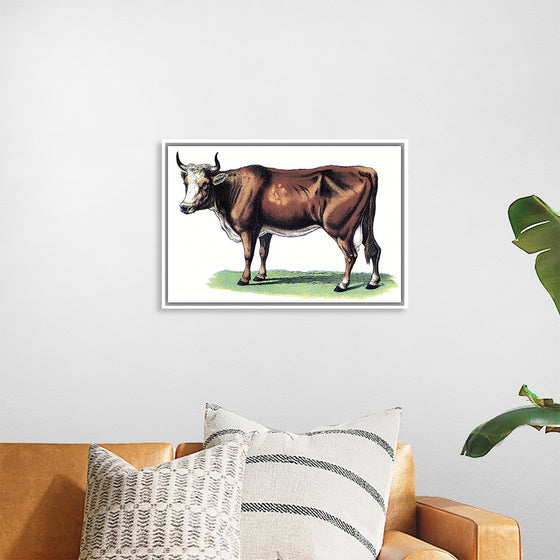 "Vintage Cow Art"