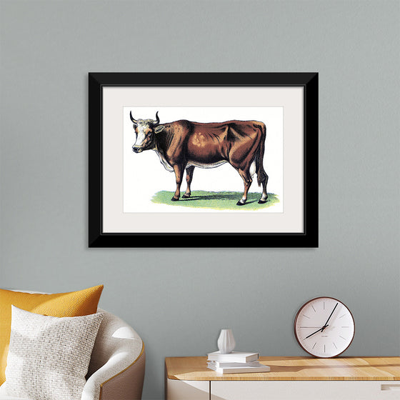 "Vintage Cow Art"