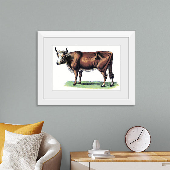 "Vintage Cow Art"