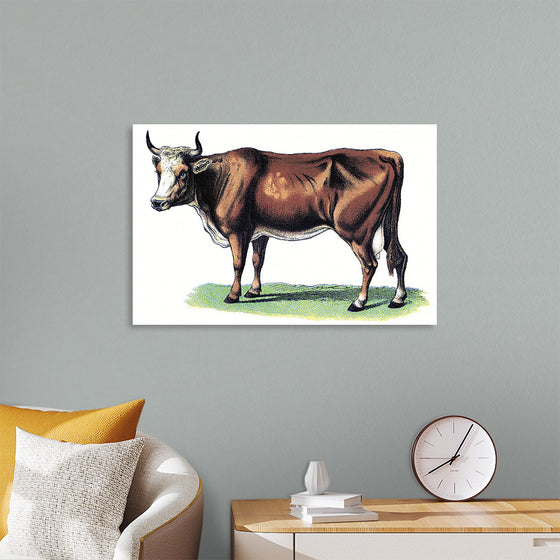 "Vintage Cow Art"