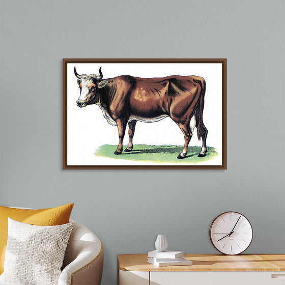 "Vintage Cow Art"