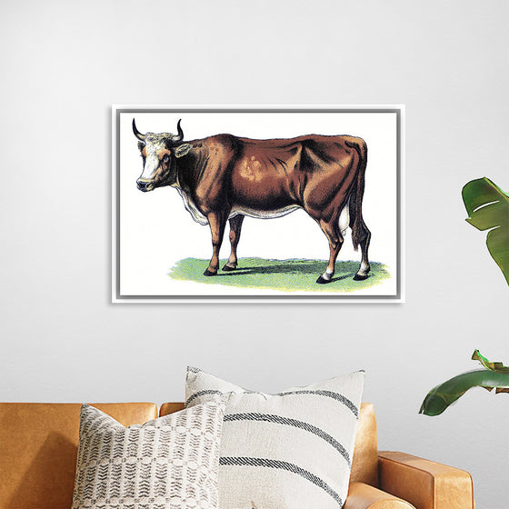 "Vintage Cow Art"