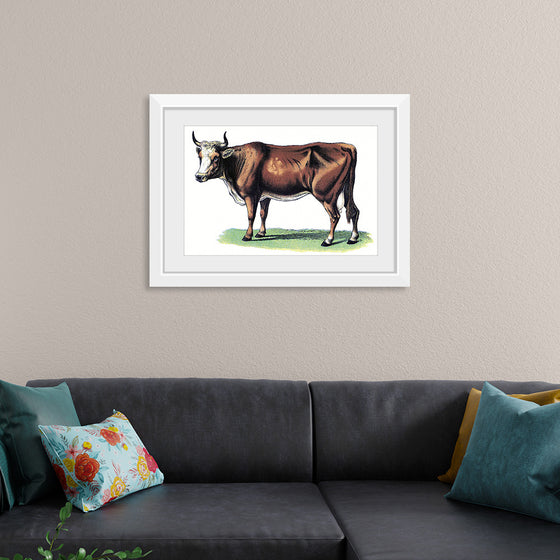 "Vintage Cow Art"