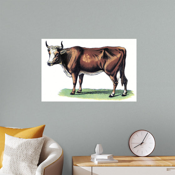 "Vintage Cow Art"