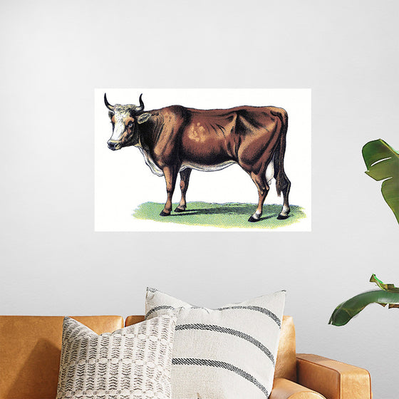 "Vintage Cow Art"