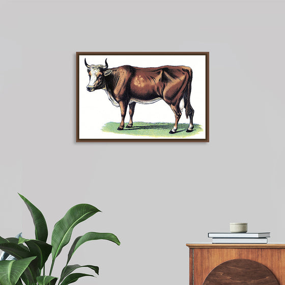 "Vintage Cow Art"