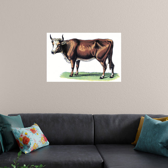 "Vintage Cow Art"