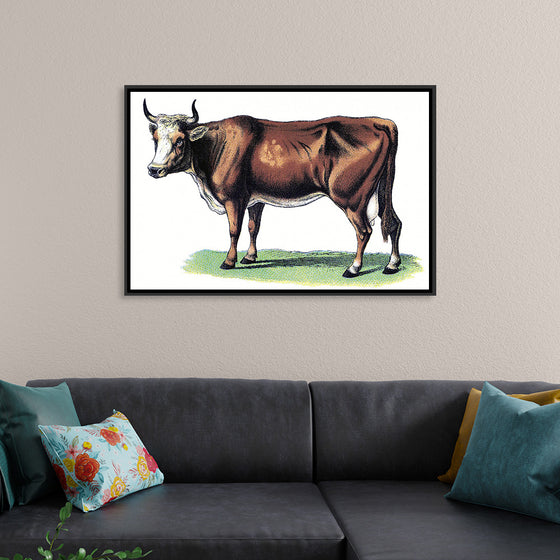 "Vintage Cow Art"